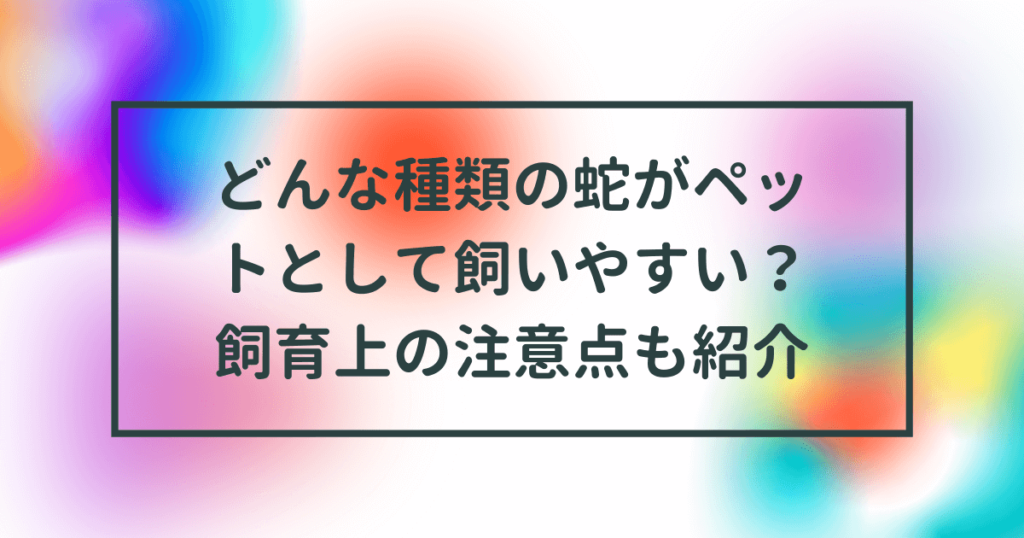 蛇 安い ペット ランキング